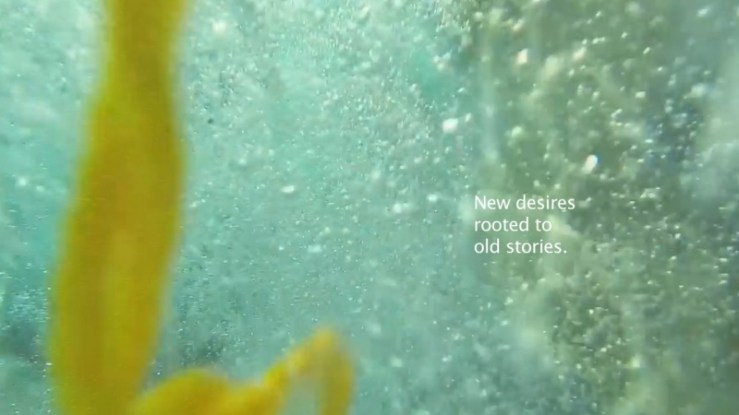 webBad Vibes Club Performances.jpg